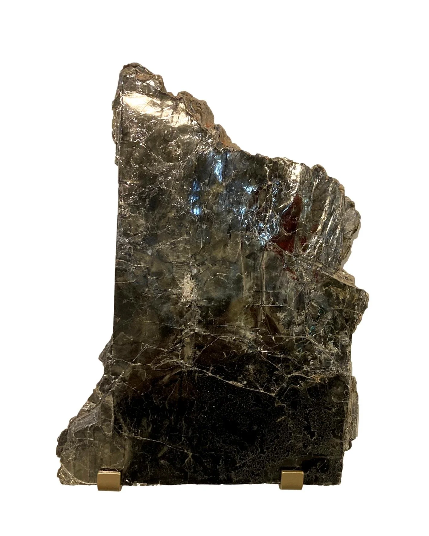 【新品】the fovari THE MINERAL EDITIION Sharpedo EX (152 Full Art) - XY - Primal Clash - Pokemon